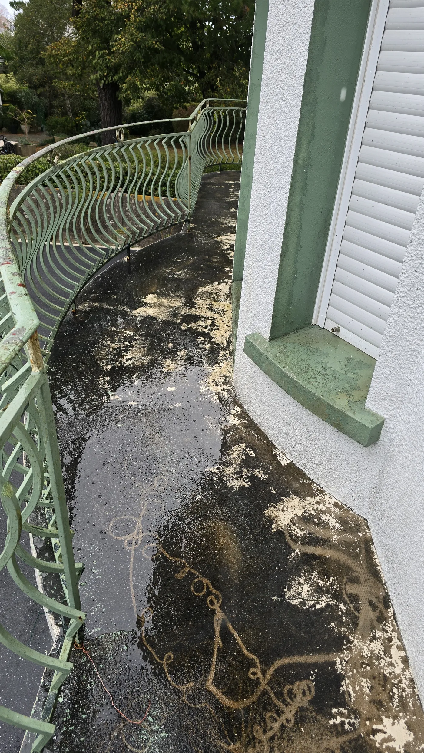 Avant démoussage